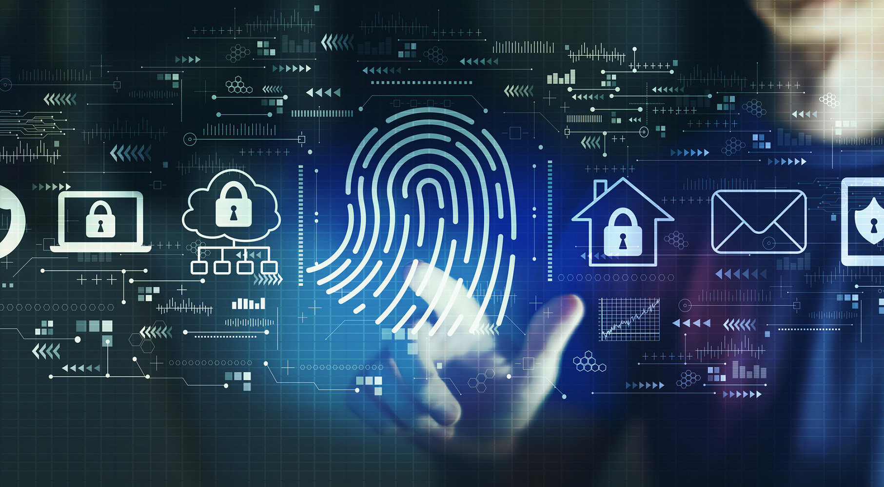 Electronic Security and the IoT Revolution